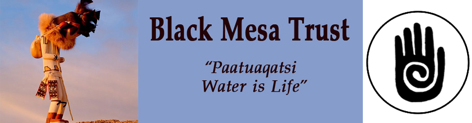 Black Mesa Trust
